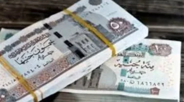 رابط الاستعلام عن معاشات أبريل والرقم التأميني عبر موقع الهيئة القومية للتأمينات